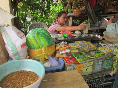 "Siêu sâu" Trung Quốc có thực sự là hiểm họa?